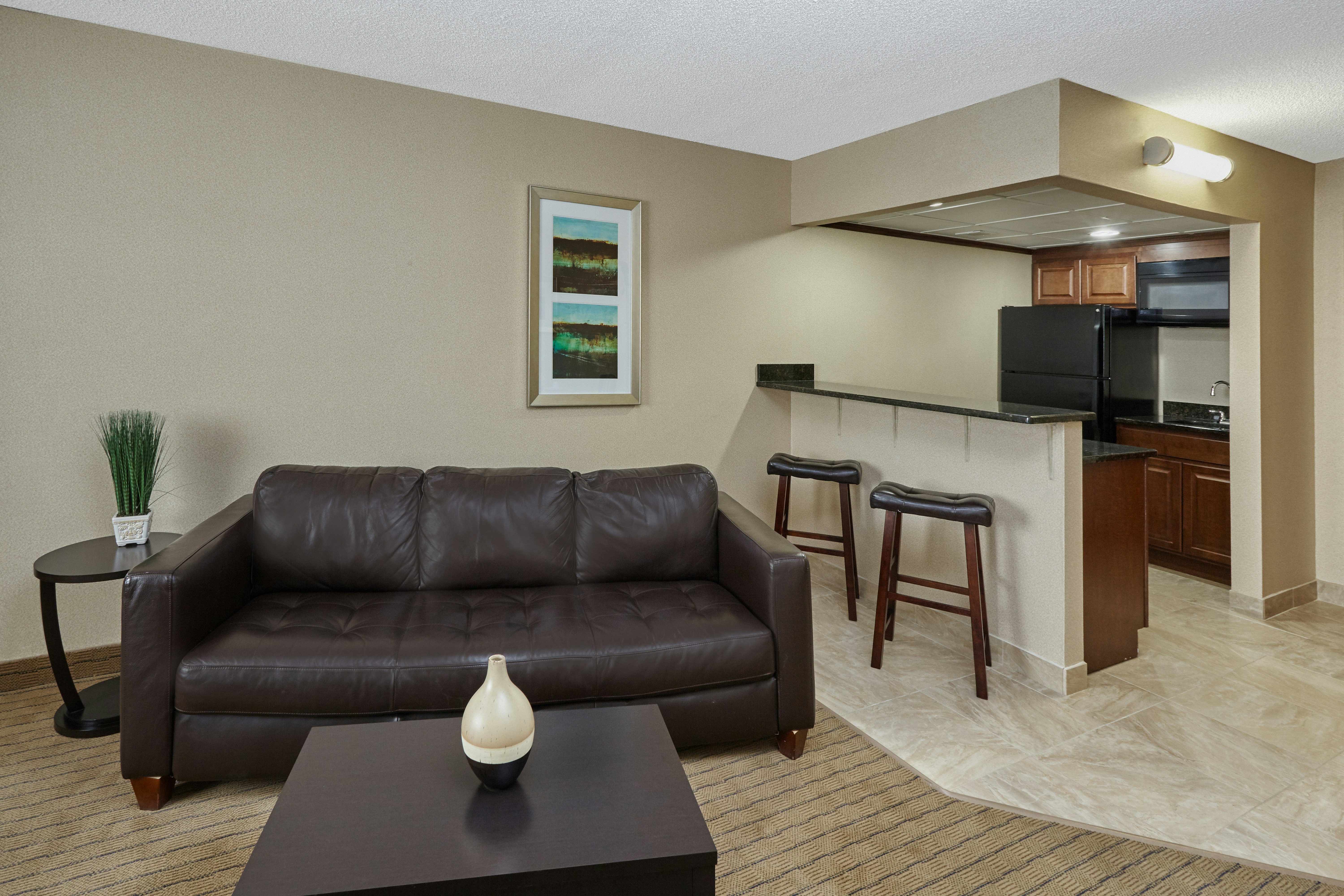Holiday Inn Hotel & Suites Chicago-Carol Stream(Wheaton) 51/76