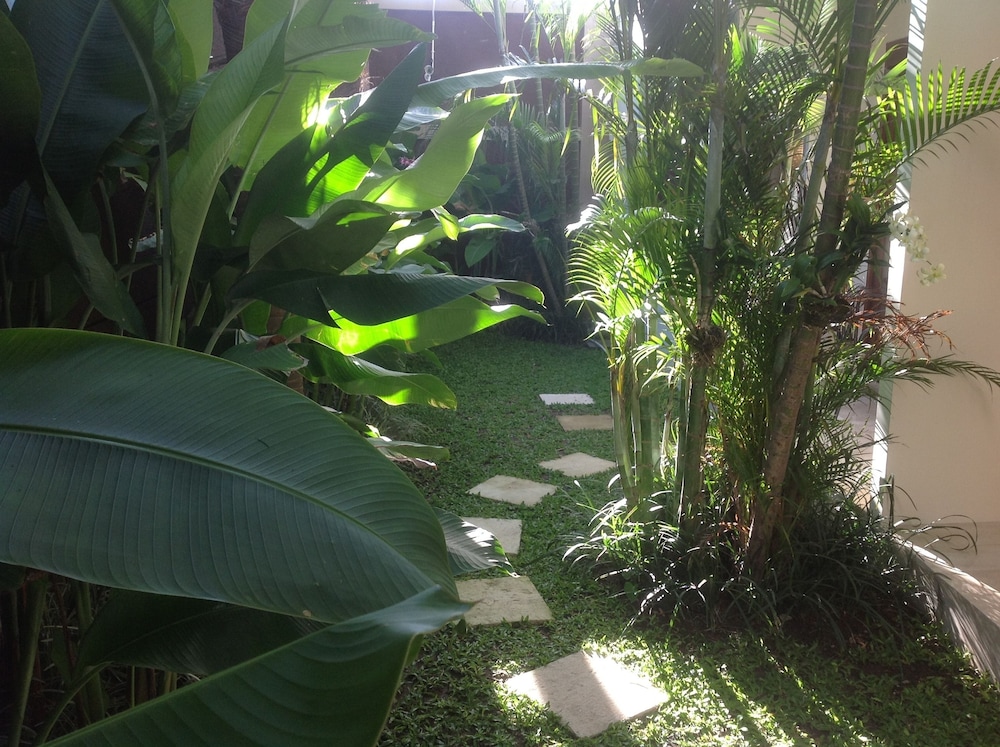 M Suite Bali 50/65