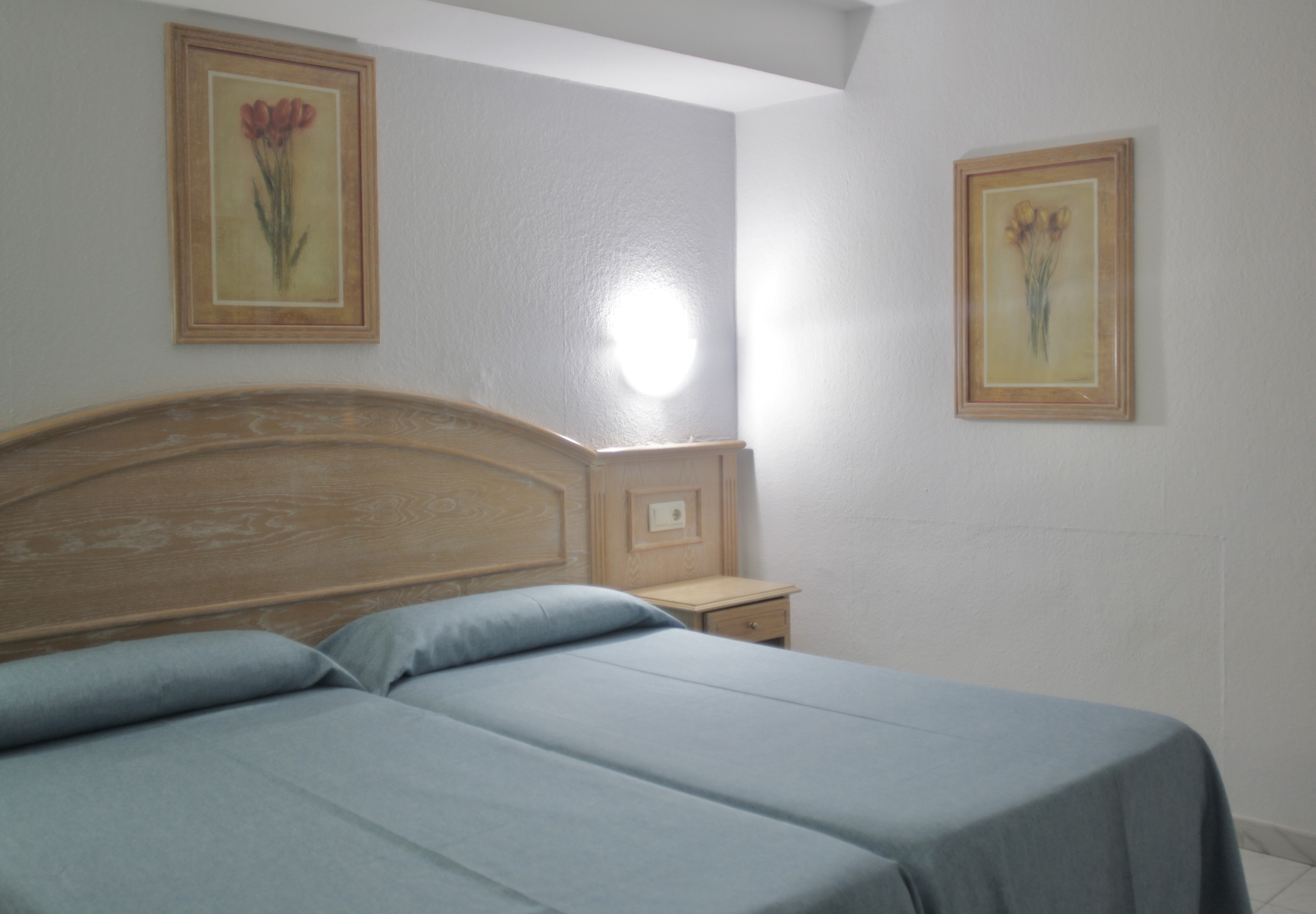 Apartamentos Park Plaza 16/49