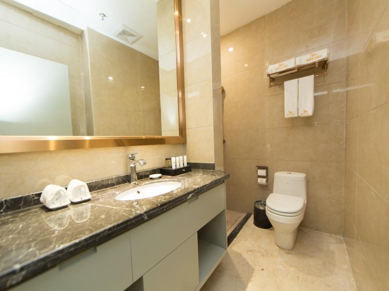 GreenTree Eastern Yibin Yijian Road New City Plaza Hotel 43/50
