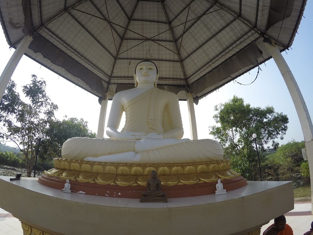 Dhammika Magic Palace 2/50