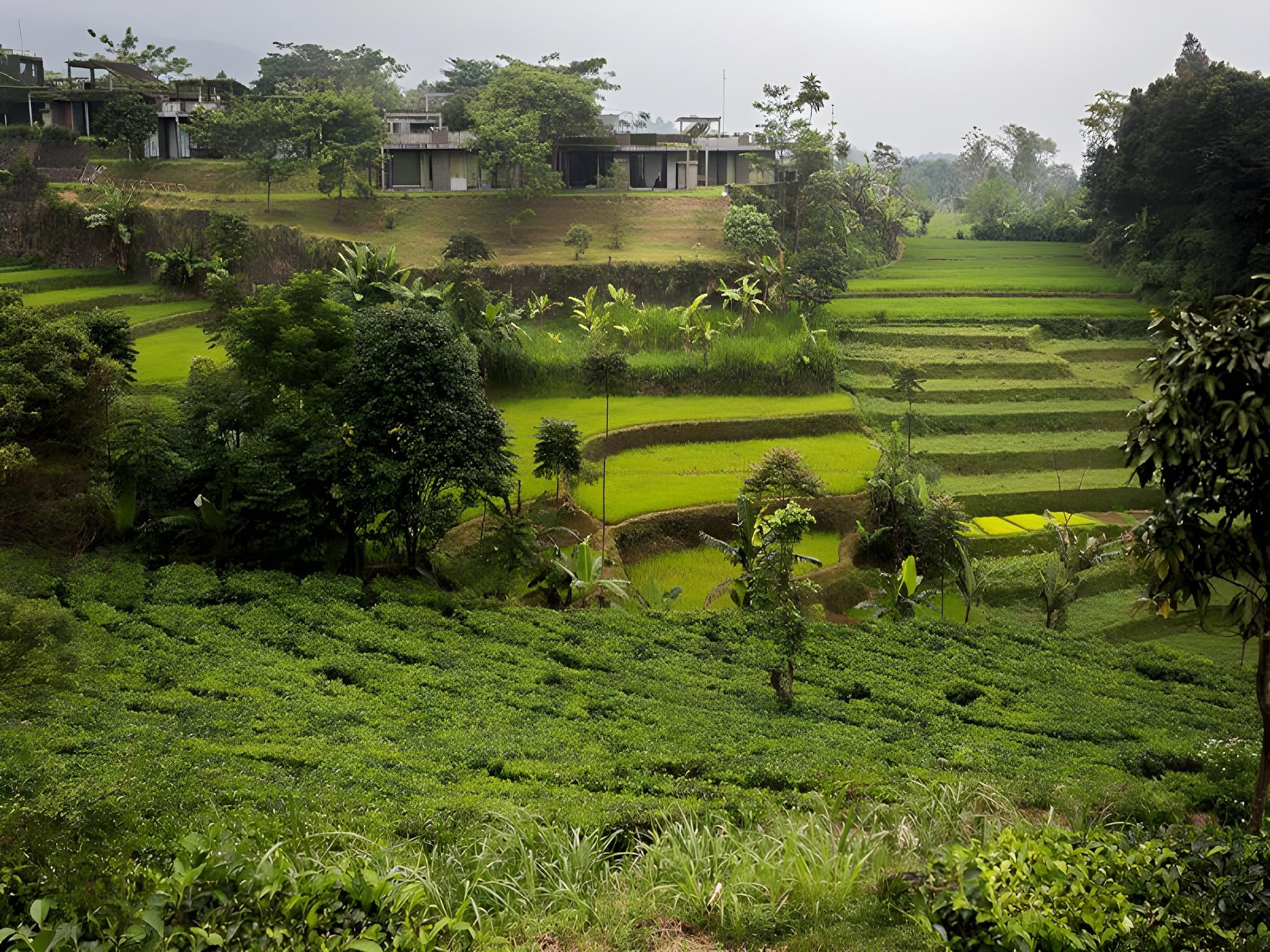 TEA GARDEN RESORT 35/46