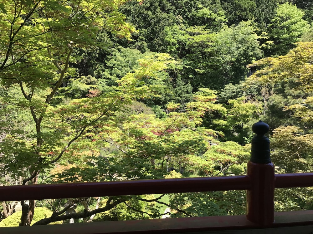 Sekishoin 22/32