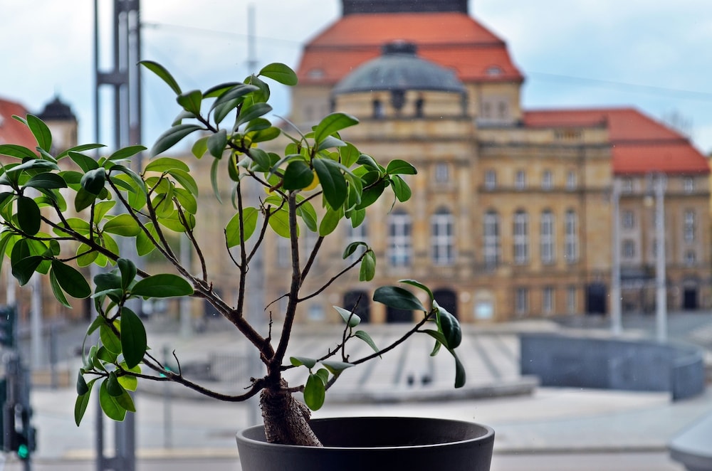 Hotel an der Oper 4/50