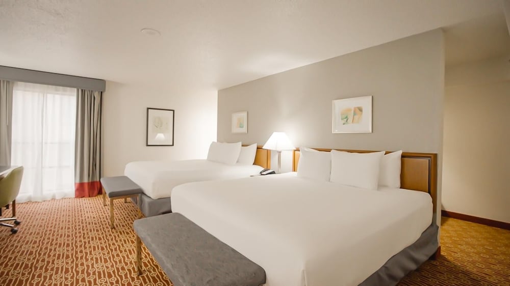 Mini, King Bed, Kitchenette