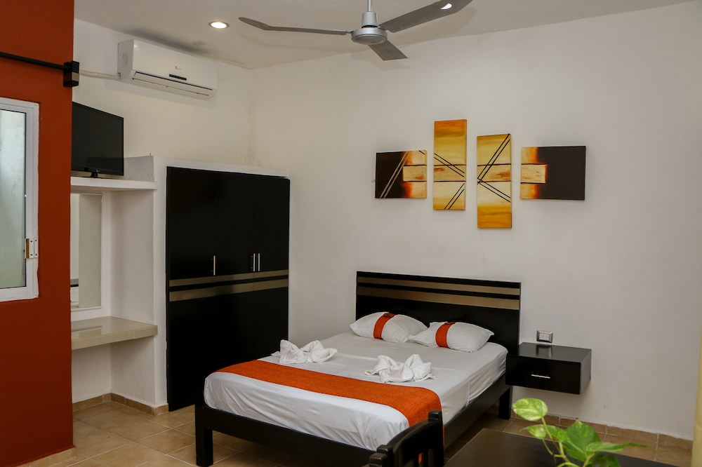 Gayser Apartamentos 24/39
