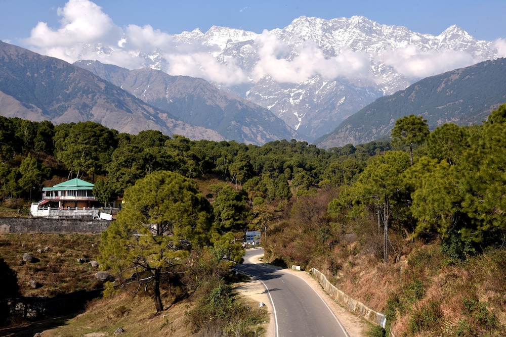 Mastiff Hotel Palampur 53/56