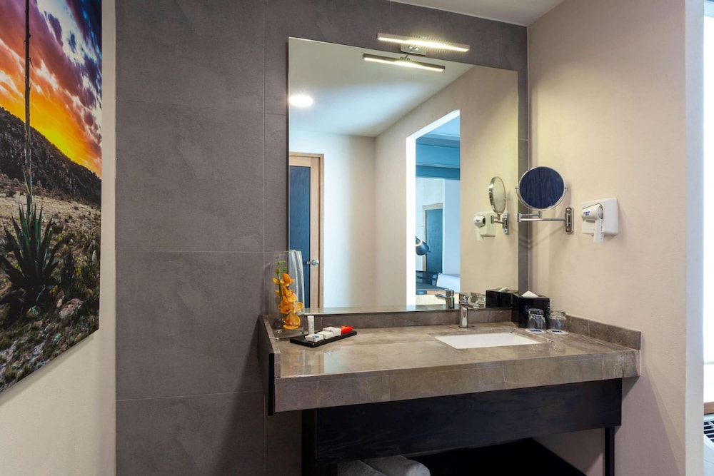 Tryp By Wyndham San Luis Potosi 47/48