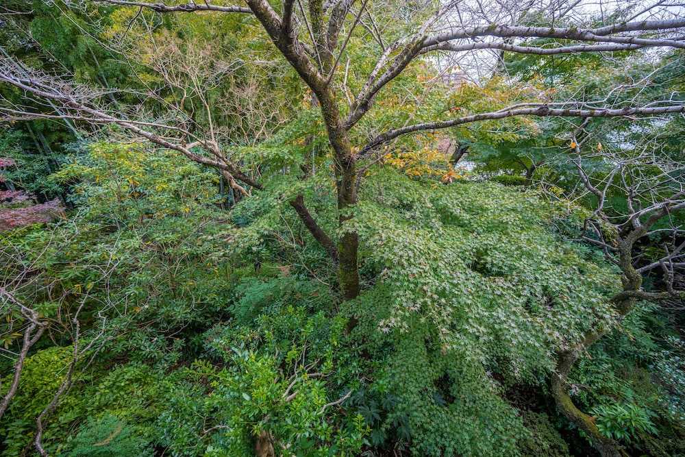 Jinya Ryokan 48/50
