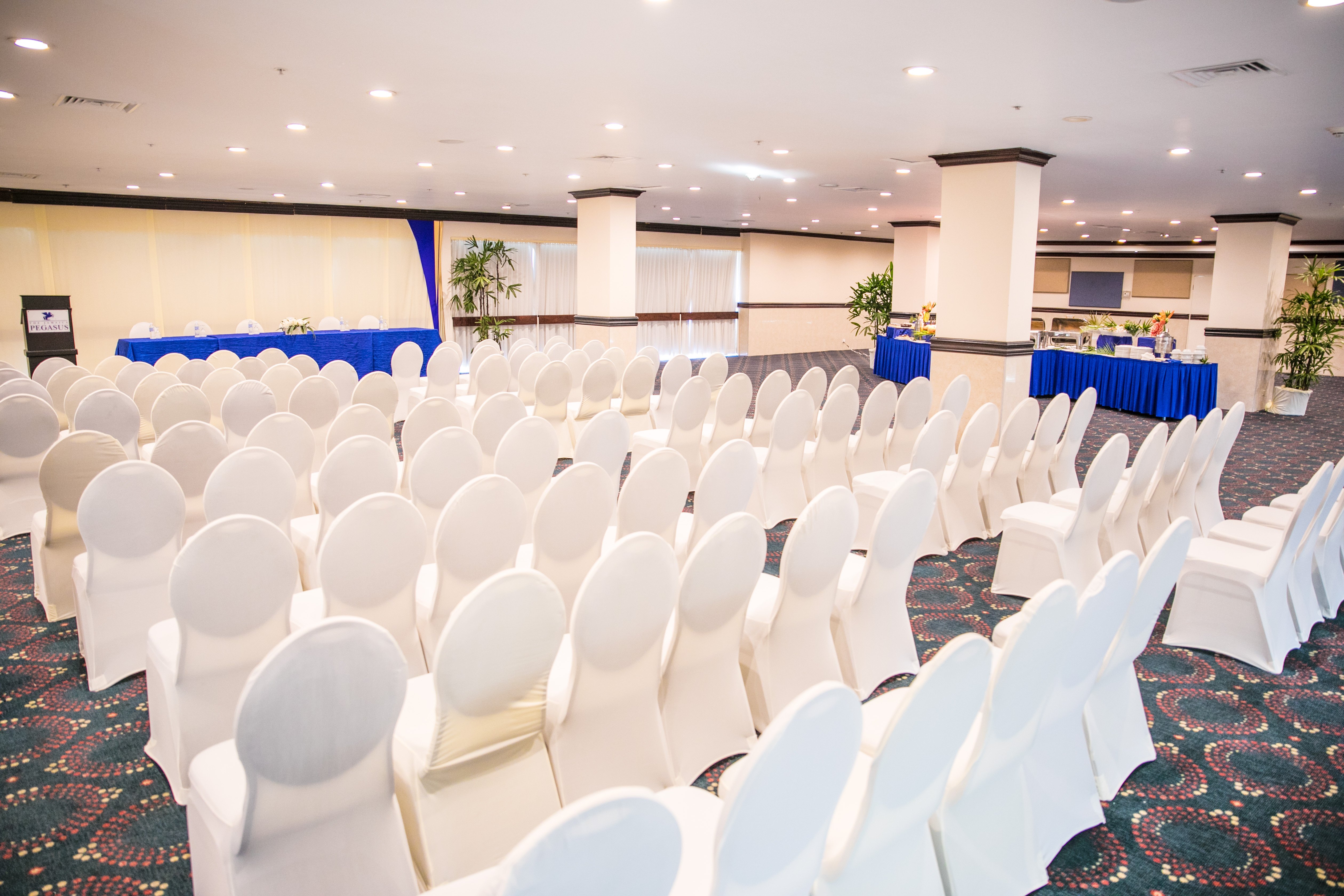 Jamaica Pegasus Hotel 92/100