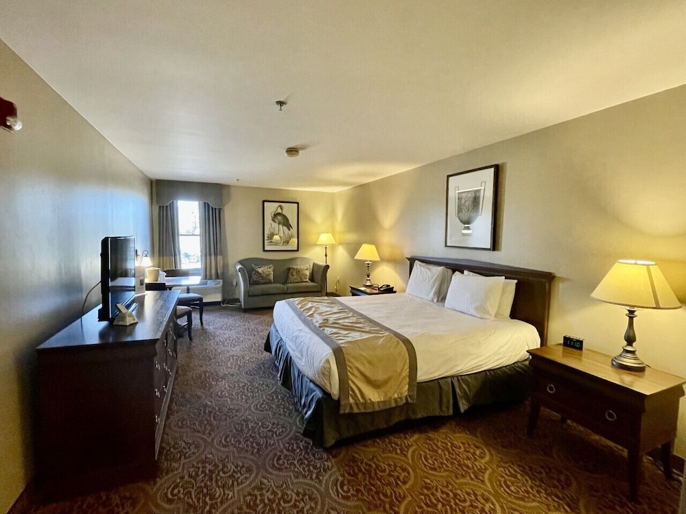 Greenville Inn Suites 18/67