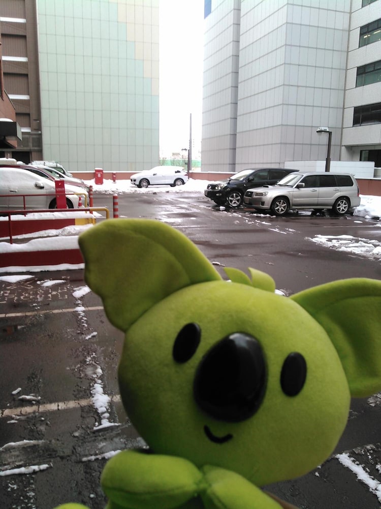 Hotel Sunroute Sapporo 35/49