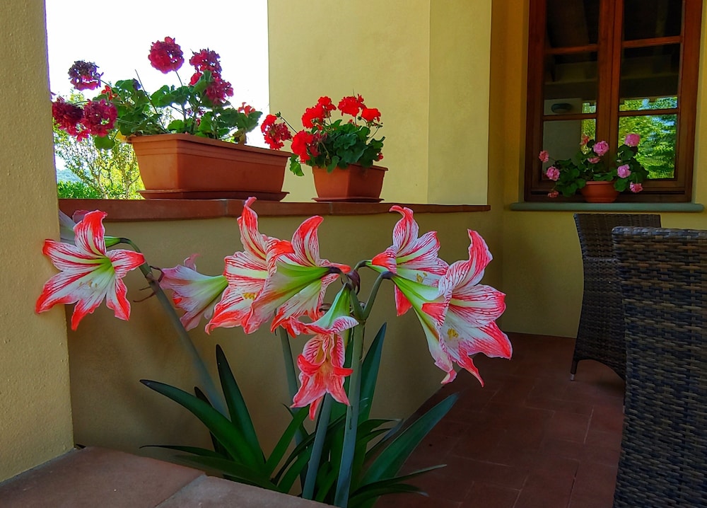 Torrebianca Tuscany 9/50