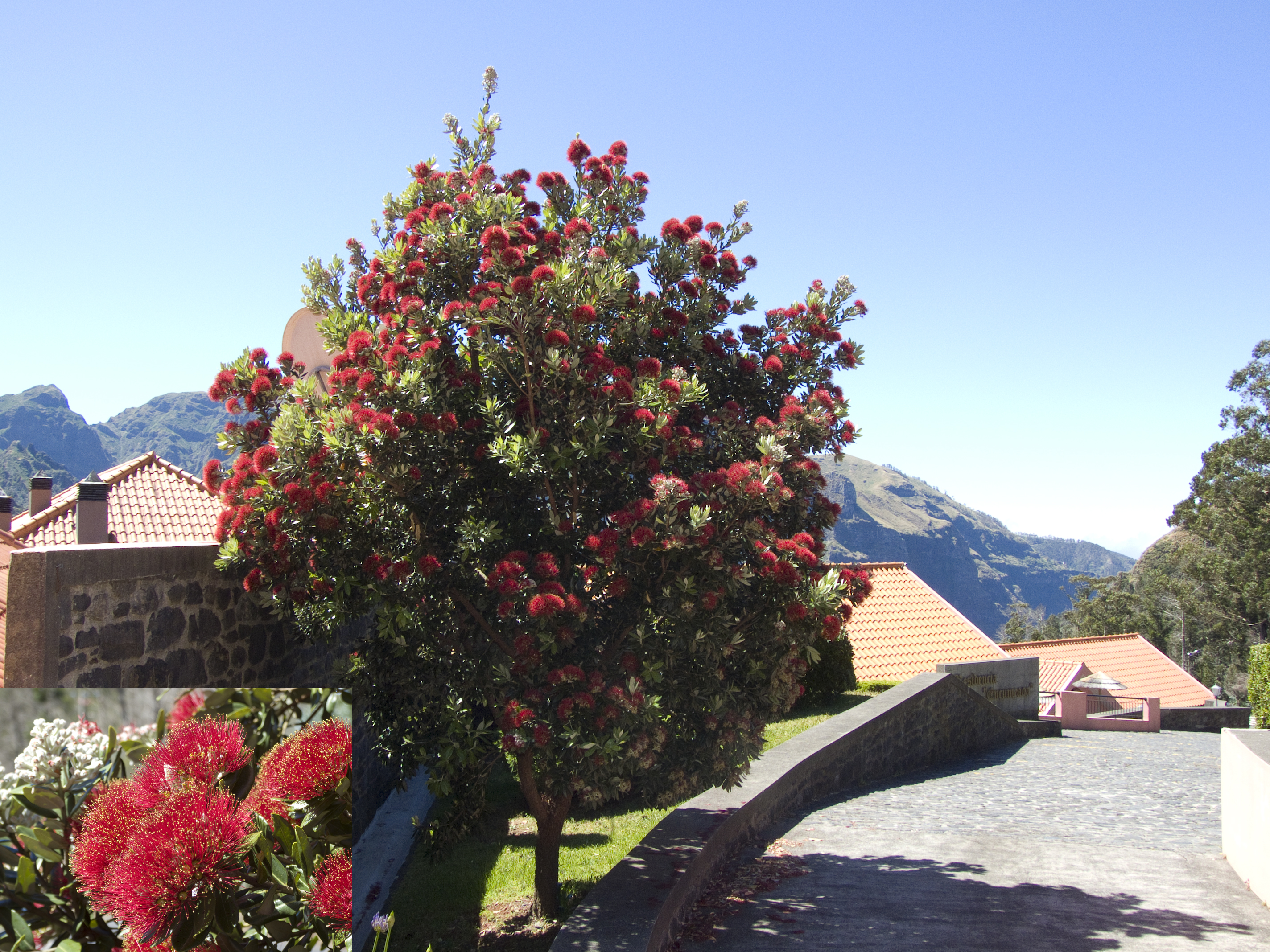 Valley View Hotel Encumeada 34/50