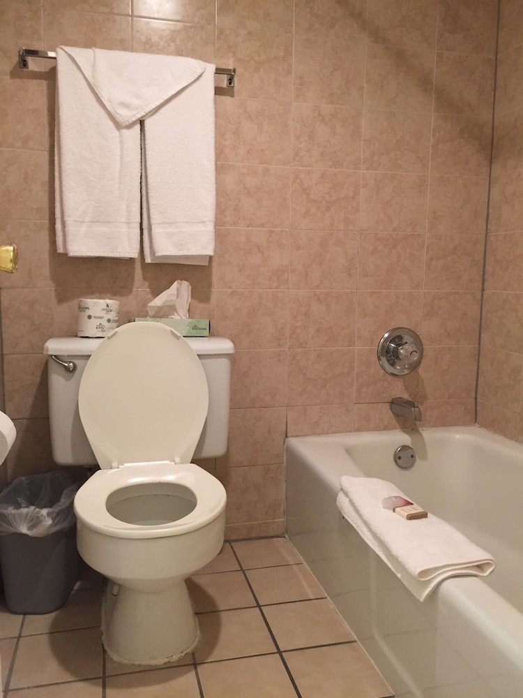 Wildwood Inn Tropical Dome & Theme Suites 68/74