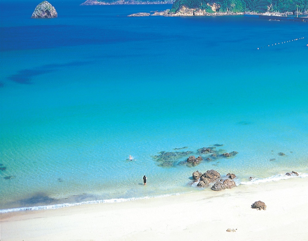 Shimoda Ocean Park Hotel 43/52