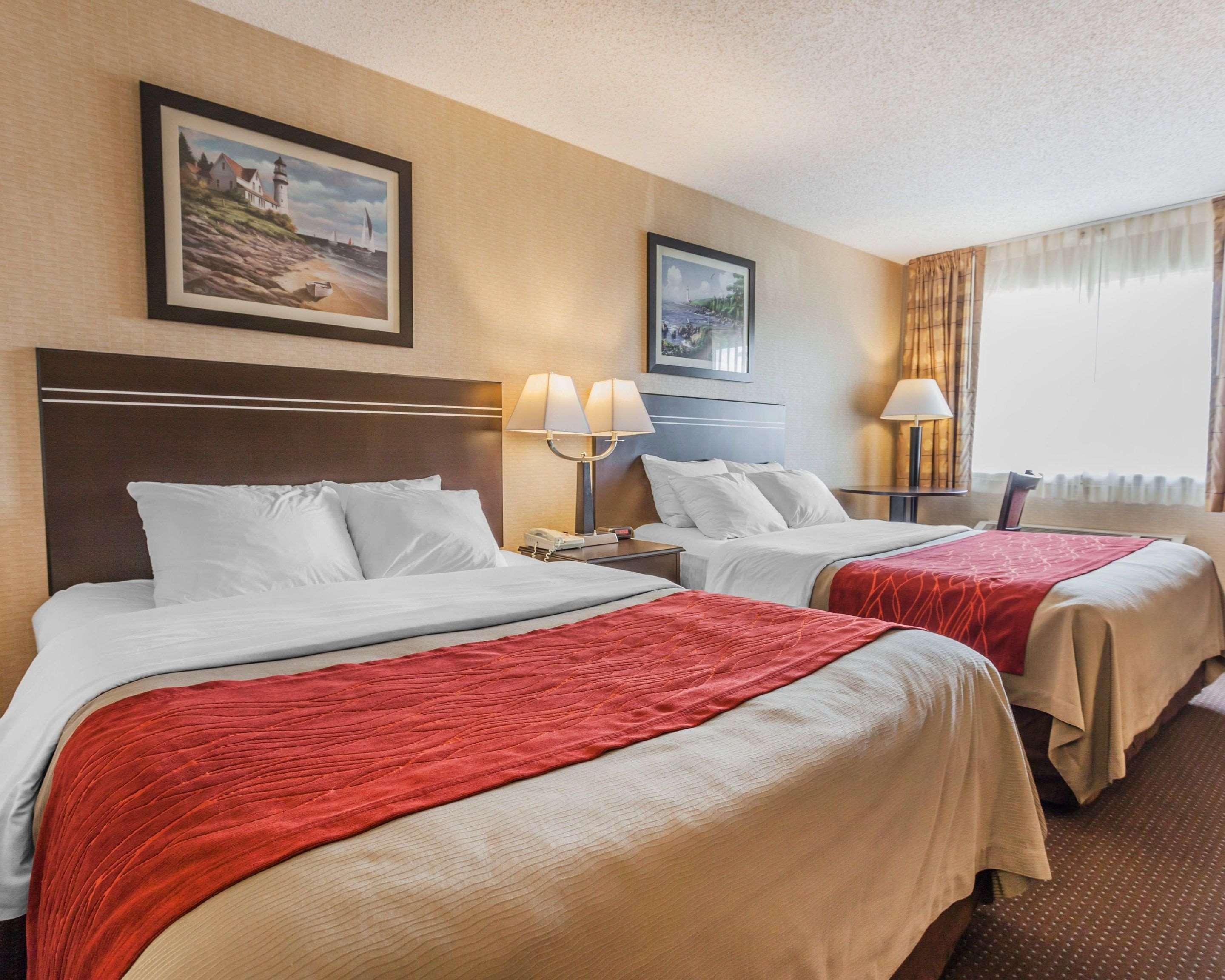 Room, Quadruple, Queen Bed
