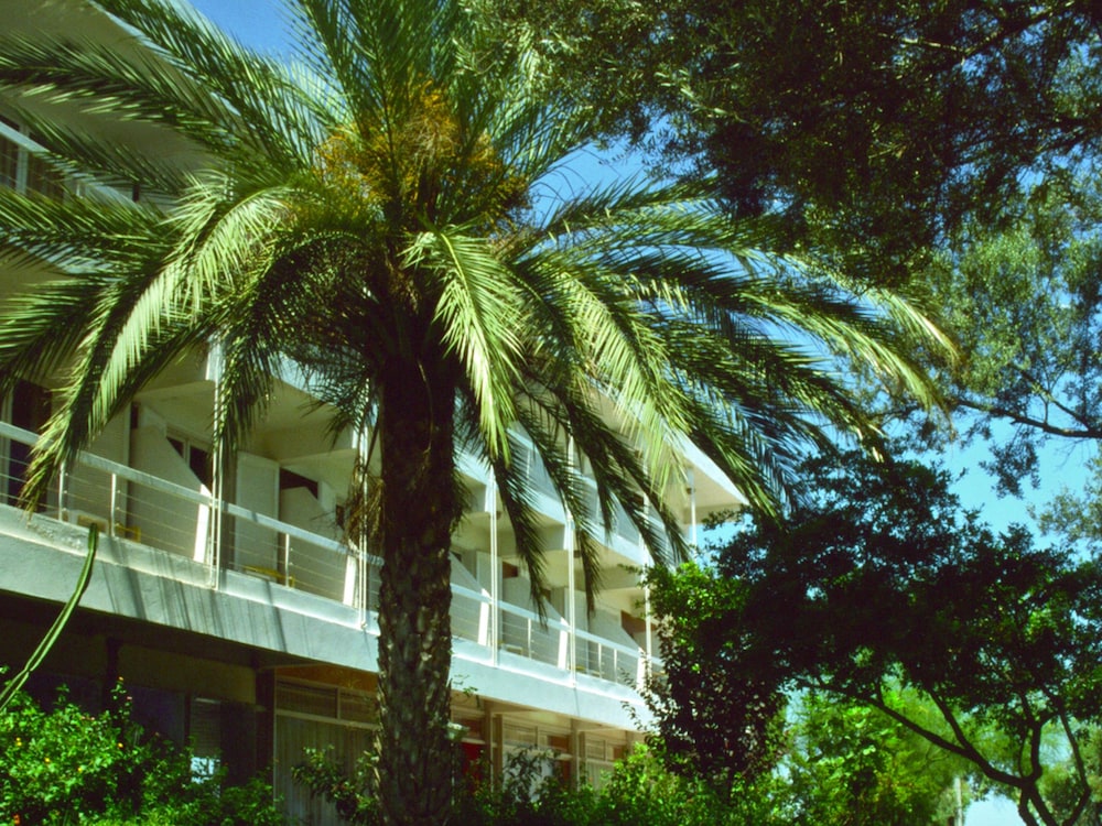 Marathon Beach Resort 7/72