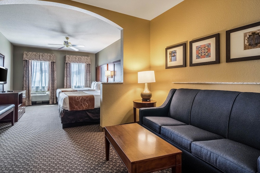Comfort Suites Near Texas State University 18/32