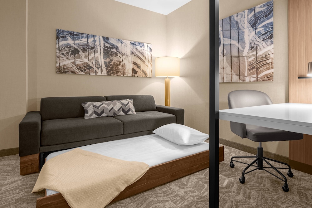 SpringHill Suites by Marriott Jackson 25/28