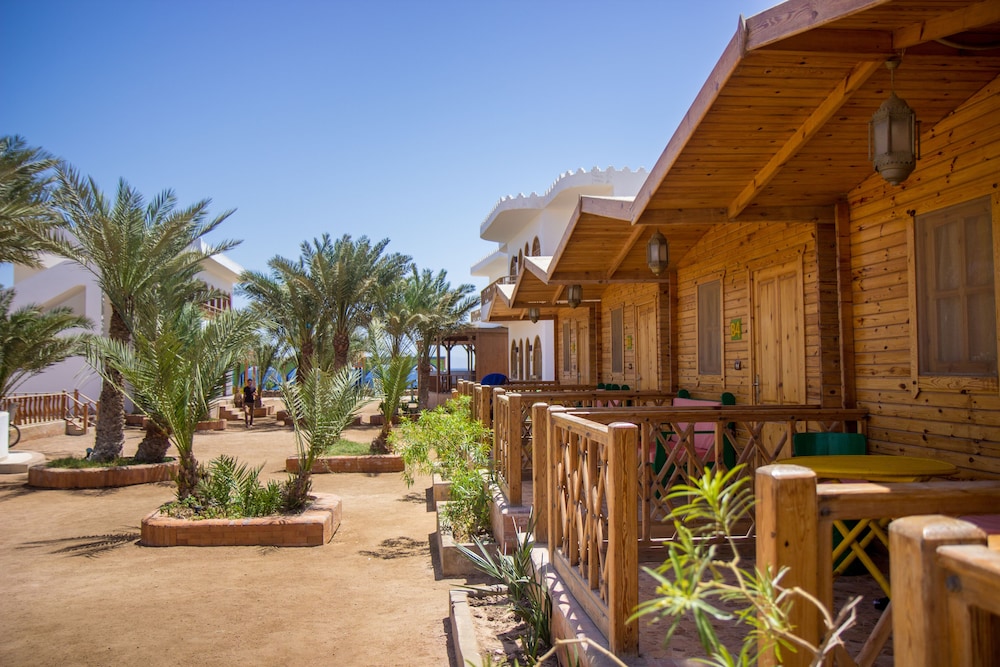 Shams Hotel &amp; Dive Centre 29/34