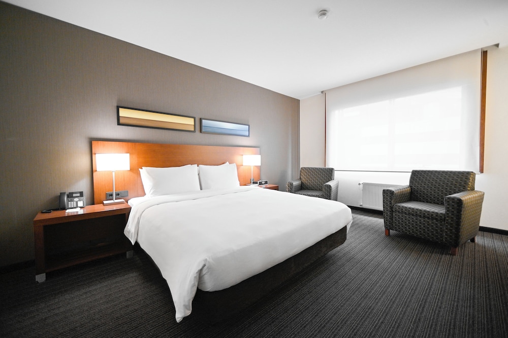 Suite, Apartment, King Bed, Sofa