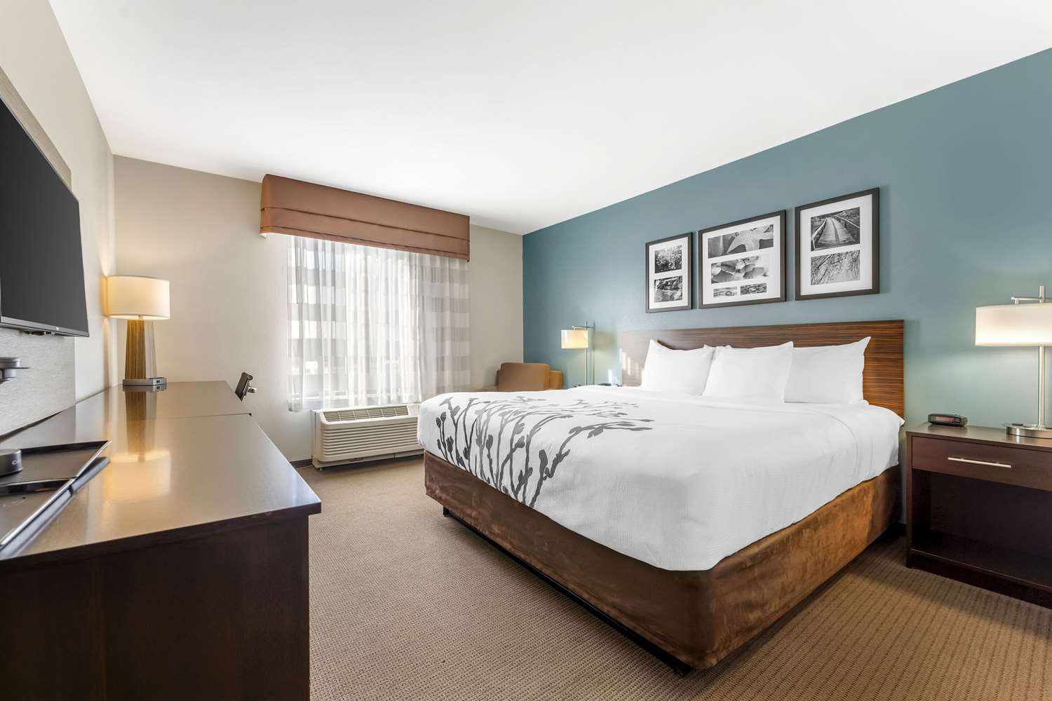 Room, King Bed
