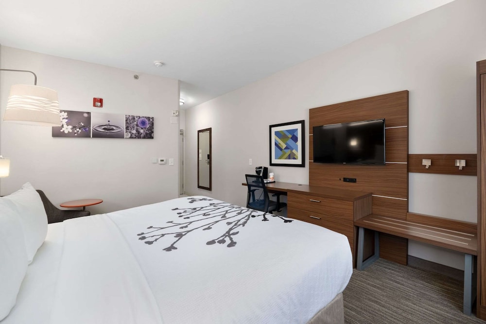 Hotel Tempe ASU Campus 4/18