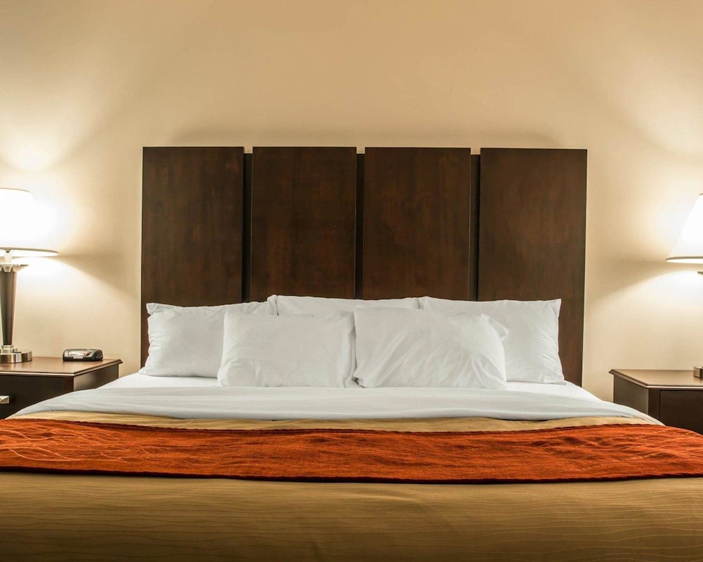 Comfort Inn and Suites Fenton MI 23/50