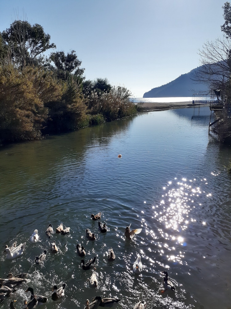 Gemicihan Pansiyon 19/30