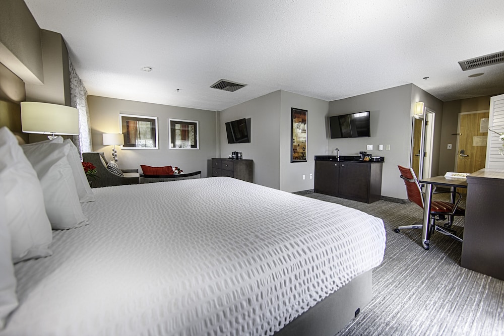 SUITE, KING BED