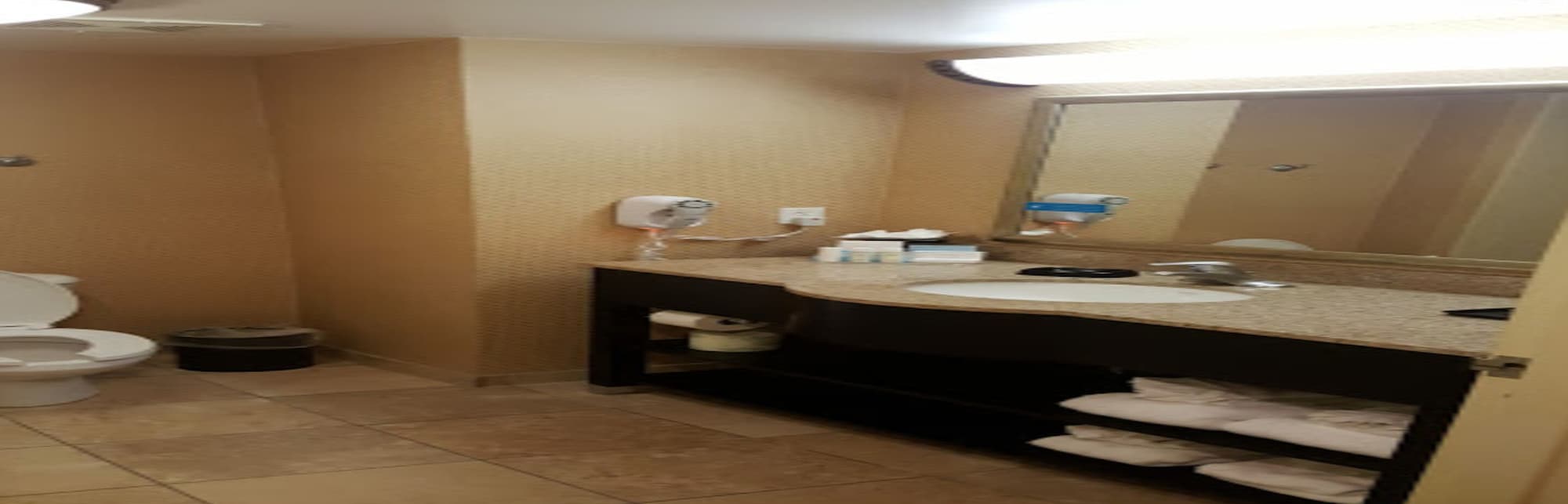 غرفة بسرير كينج لذوي الإعاقة، Hampton Inn Dade City Zephyrhills Fl 6/6