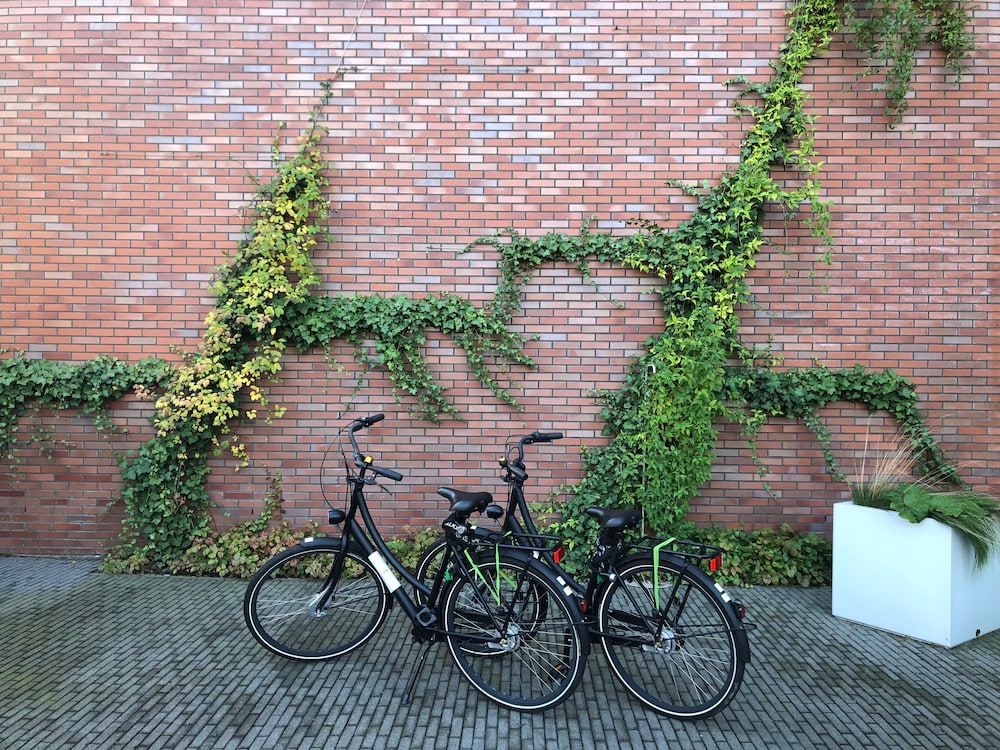 HYATT PLACE AMSTERDAM AIRPORT photo2
