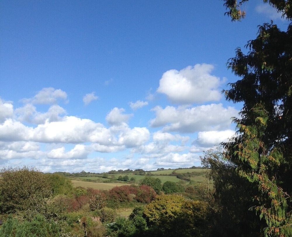 Elm Grove Country House 34/50