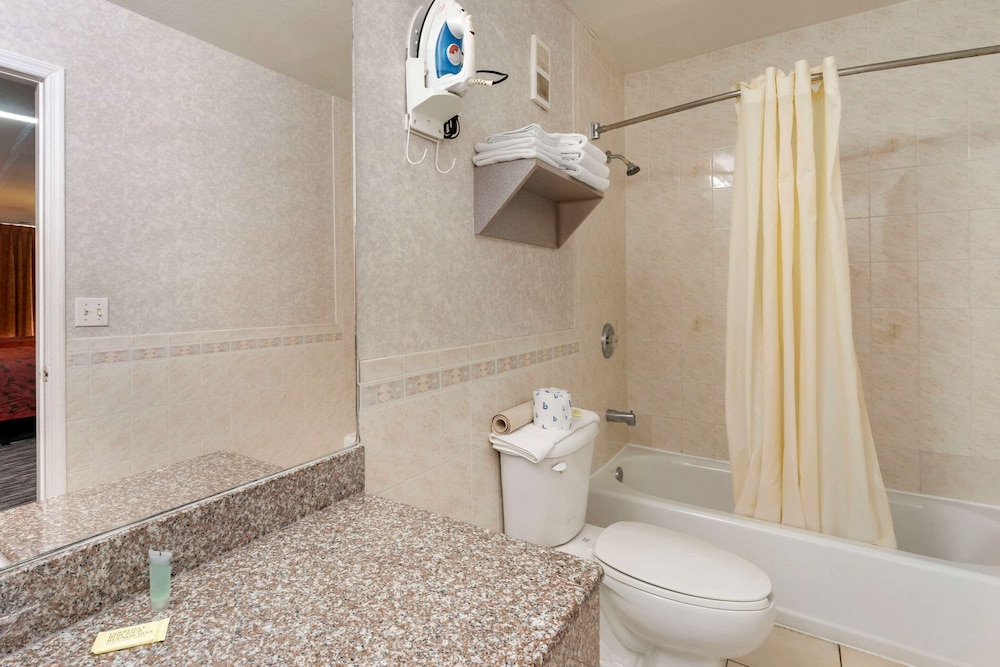 Rodeway Inn Clearwater-Largo 16/31