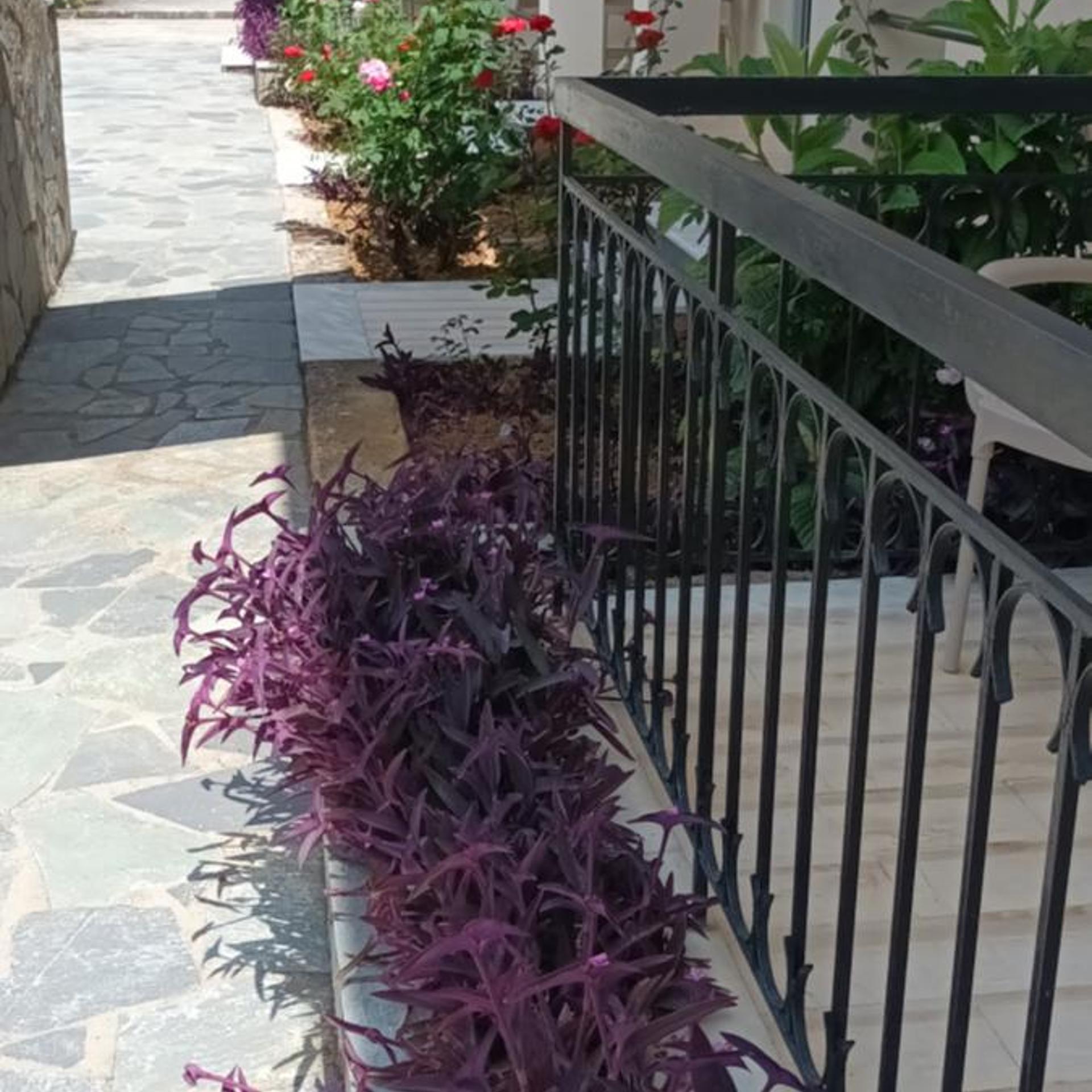Dimitra Apartments in CORFU