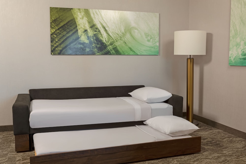 SpringHill Suites by Marriott West Sacramento 15/44