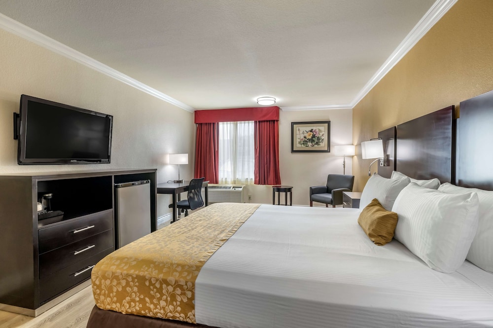 Best Western Plus South Bay Hotel 14/36