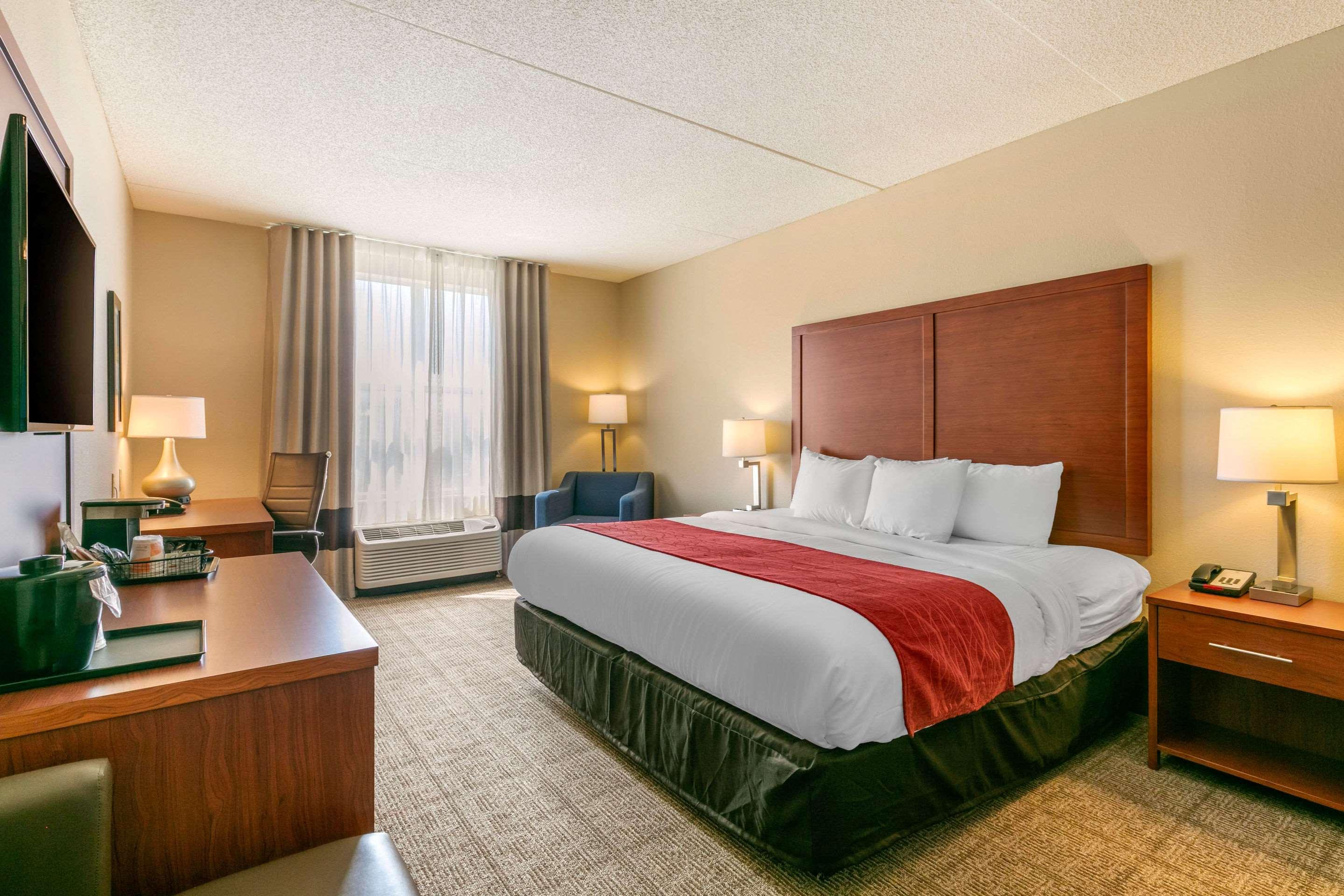 Room, King Bed