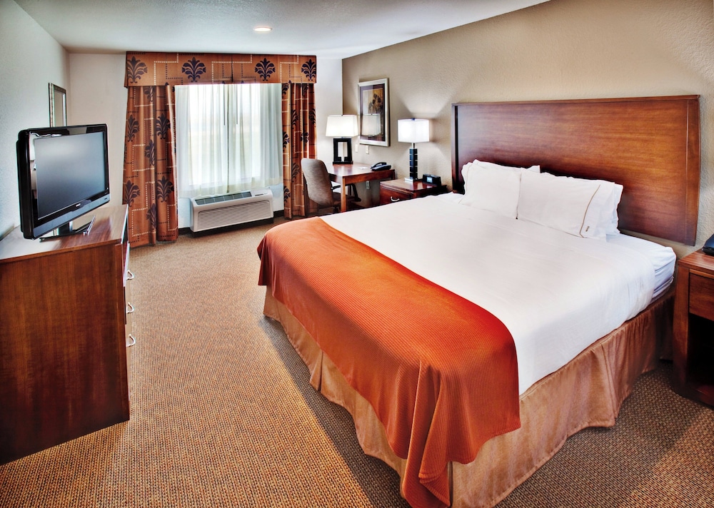 Holiday Inn Express Hotel & Suites Dubuque-West 18/51