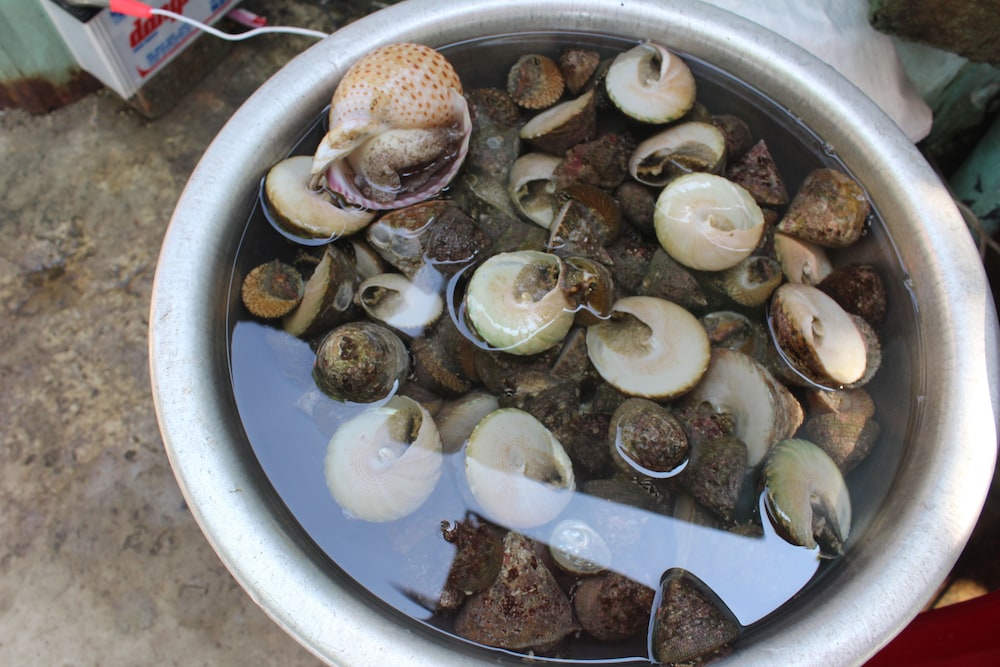 Homestay Bai Huong 23/50