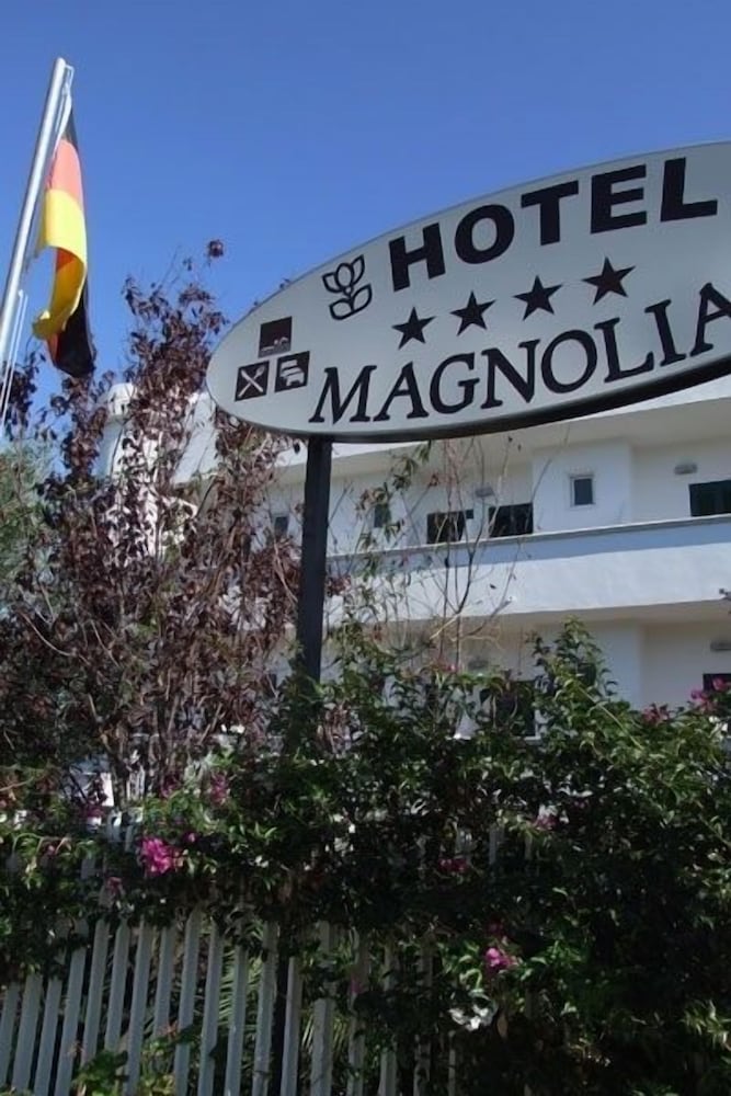 Magnolia 1/43