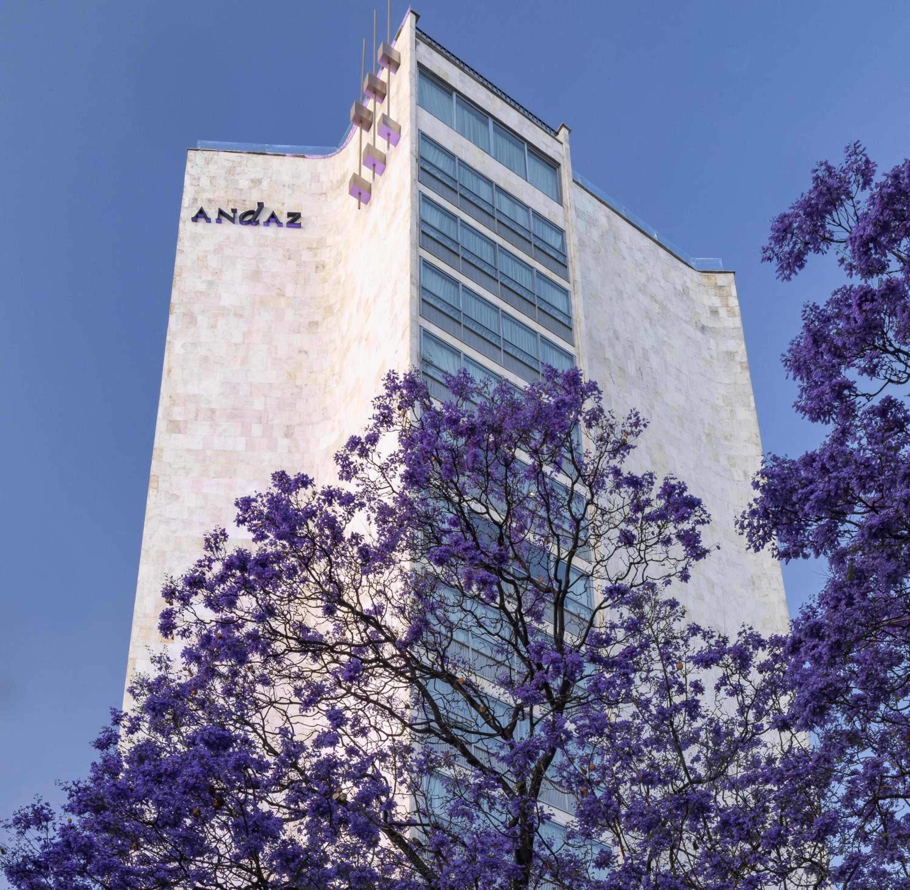 Wyndham Grand Mexico City 2/50