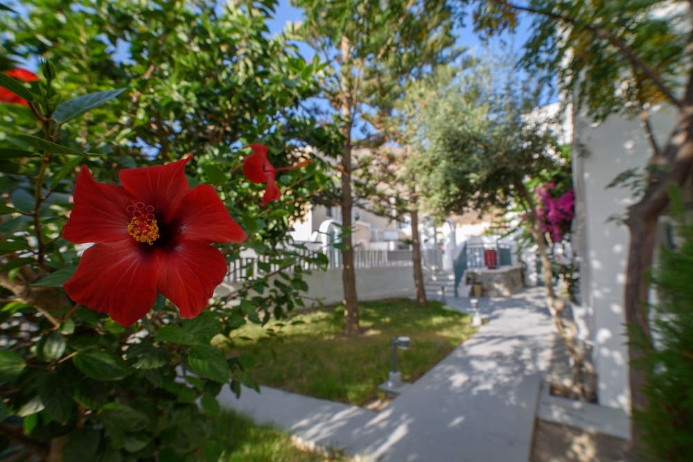 Iris Boutique Hotel 27/35