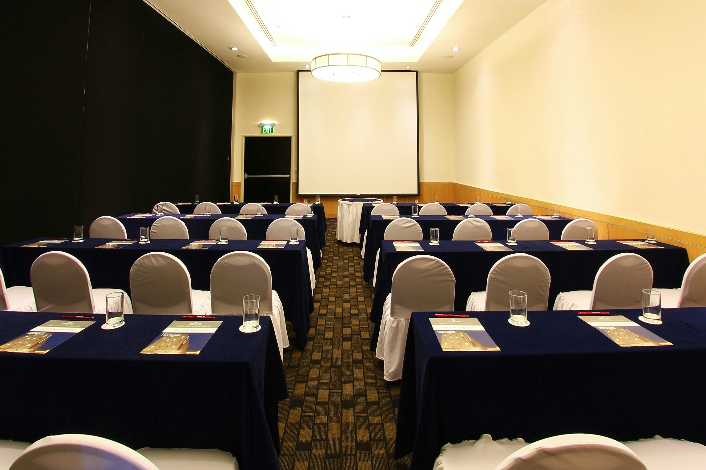 Fiesta Inn Coatzacoalcos 40/52