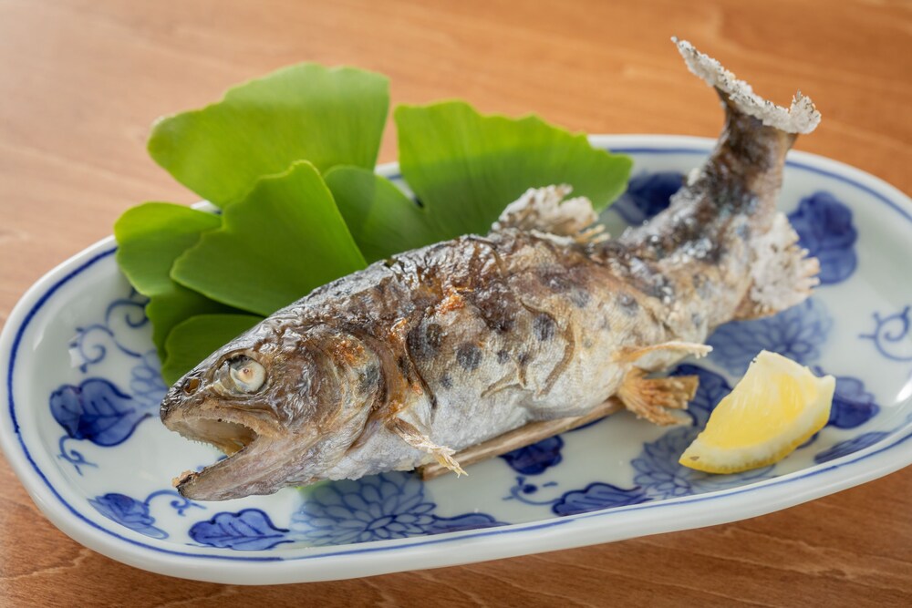 Kurokawa Onsen Ryokan Nanjoen 19/35