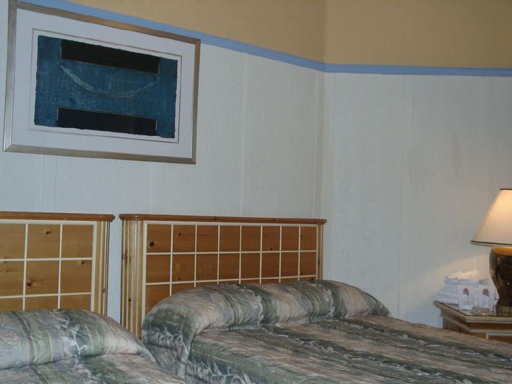 Hotel Arena Palace Montreal 10/20