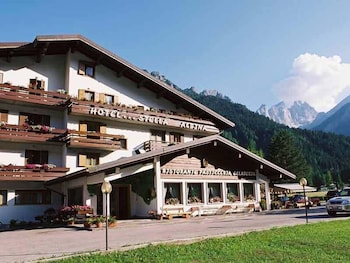 Hotel Stella Alpina 4/39