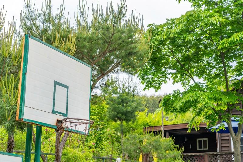 Pocheon Solhyanggi Pension 3/12