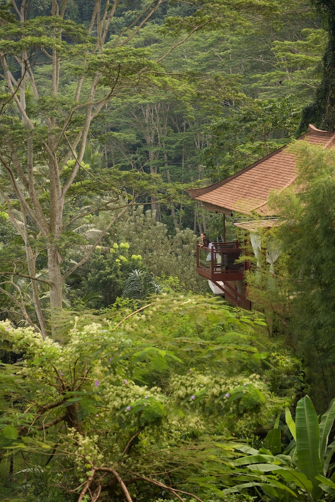 Kupu Kupu Barong Villas And Tree Spa By L Occitane in Ubud